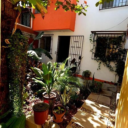 Casa Lomas Del Marinero Internet Starlink Sin Garaje Apartman Puerto Escondido  Kültér fotó
