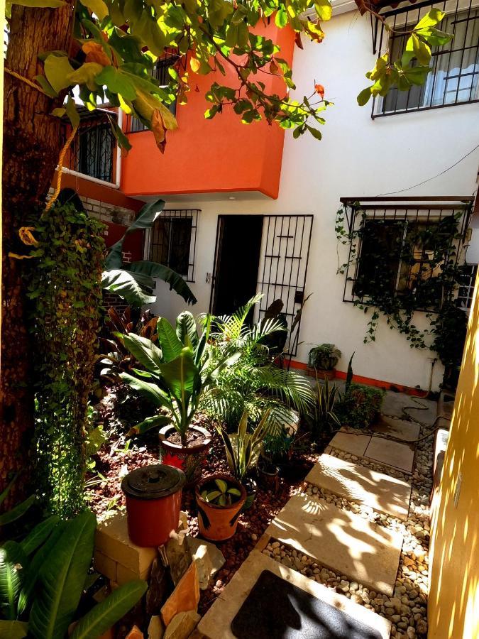 Casa Lomas Del Marinero Internet Starlink Sin Garaje Apartman Puerto Escondido  Kültér fotó