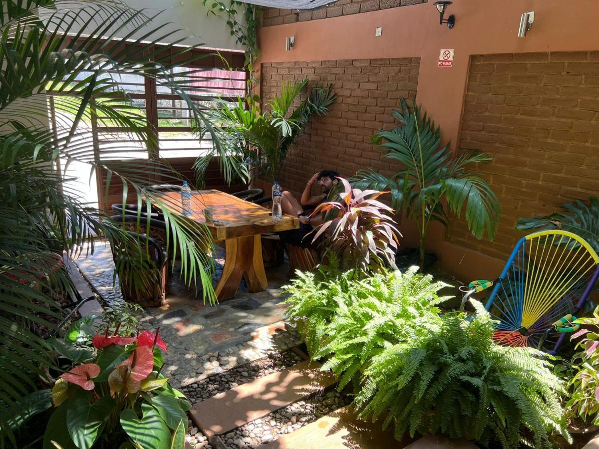 Casa Lomas Del Marinero Internet Starlink Sin Garaje Apartman Puerto Escondido  Kültér fotó