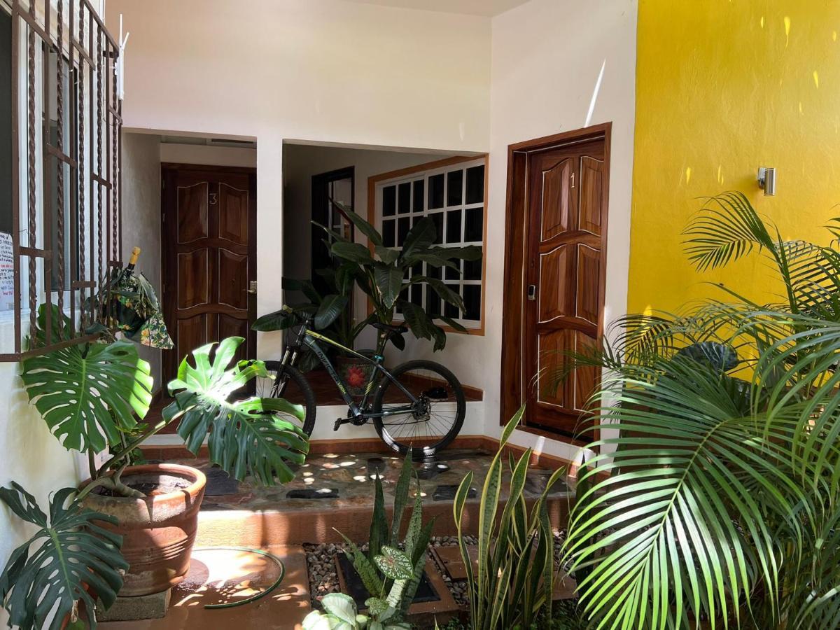 Casa Lomas Del Marinero Internet Starlink Sin Garaje Apartman Puerto Escondido  Kültér fotó
